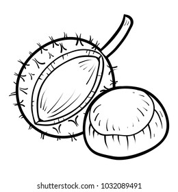 Coloring book for children, Chestnut