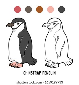 Coloring book for children, Chinstrap penguin