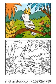 Coloring book for children, Cockatoo parrot in the rainforest