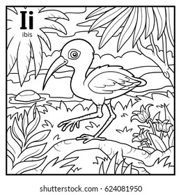 Coloring Book For Children, Colorless Alphabet. Letter I, Ibis