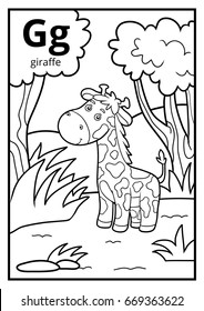 Coloring book for children, colorless alphabet. Letter G, giraffe