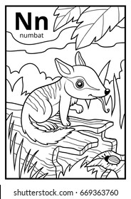 Coloring book for children, colorless alphabet. Letter N, numbat