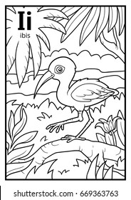 Coloring Book For Children, Colorless Alphabet. Letter I, Ibis