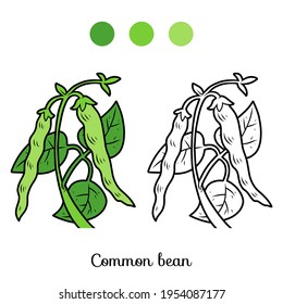 Coloring book for children, Common bean