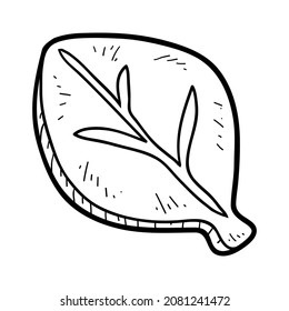 Coloring book for children, Cookie, leaf shape