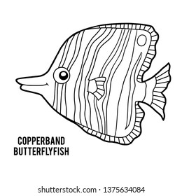 Coloring book for children, Copperband butterflyfish