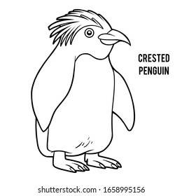 Coloring book for children, Crested penguin