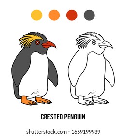 Coloring book for children, Crested penguin