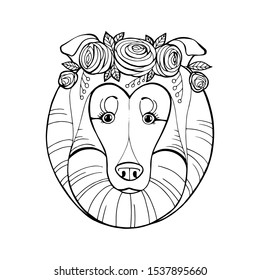 Coloring book for children, Dog breeds: Collie