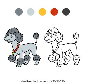 Coloring book for children, Dog breeds: Poodle