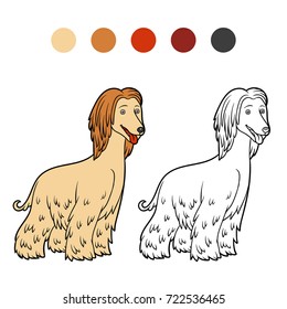 Coloring book for children, Dog breeds: Afghan hound