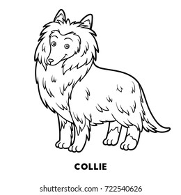 Coloring book for children, Dog breeds: Collie