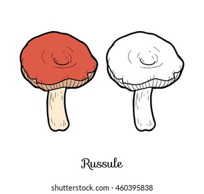 Coloring book for children. Edible mushrooms, russule