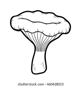 Coloring book for children. Edible mushrooms, chantarelle