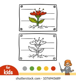 Coloring book for children, Education diagram