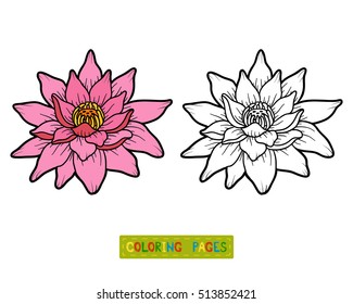 Coloring book for children, flower Lotus
