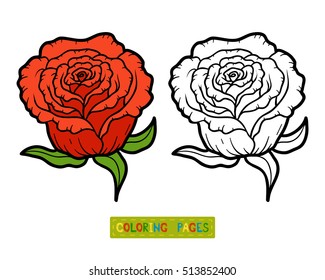 Coloring book for children, flower Rose