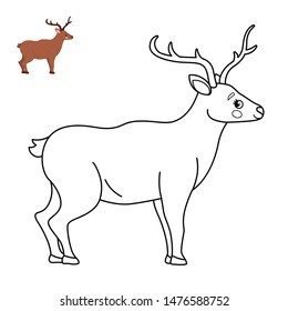 Coloring book for children. Forest animals. Cartoon cute deer.