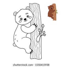 Coloring book for children. Forest animals collection. Cartoon cute bear.