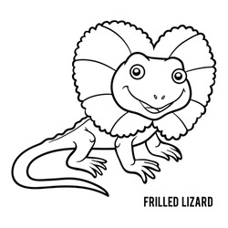 Coloring Book For Children, Frilled Lizard