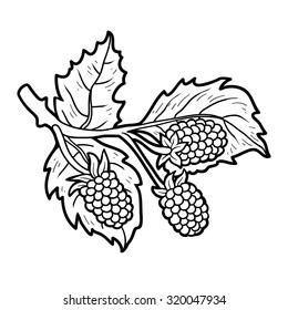 Coloring book for children: fruits and vegetables (blackberries)
