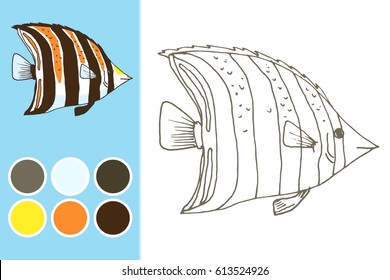 Coloring book, children game design. Vector zebra fish, coral fish hand drawn colorful illustration. Sketch with western talma fish, marine animal