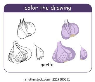 Coloring book for children. Garlic in color and black and white.