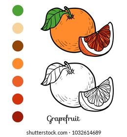 Farbbuch für Kinder, Grapefruit