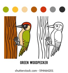 Coloring book for children, Green woodpecker