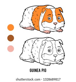 Coloring book for children, Guinea pig