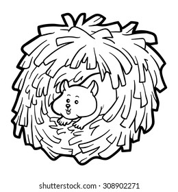 Coloring book for children: Hamster in the nest