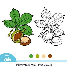 Coloring book for children, Horse Chestnut branch svg