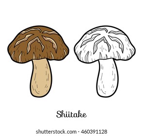 Coloring book for children. Japanese edible mushrooms, shiitake