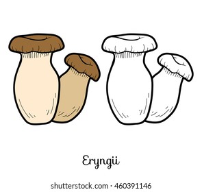 Coloring book for children. Japanese edible mushrooms, eryngii