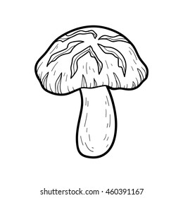 Coloring book for children. Japanese edible mushrooms, shiitake