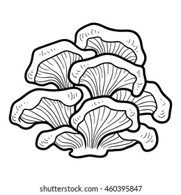 Coloring book for children. Japanese edible mushrooms, oyster (hiratake)