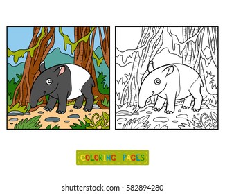 Coloring book for children, Malayan tapir