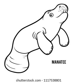 Coloring book for children, Manatee