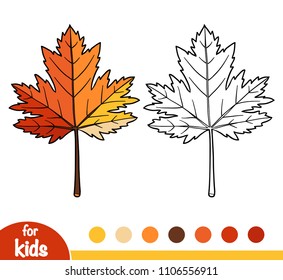 Coloring book for children, Maple leaf