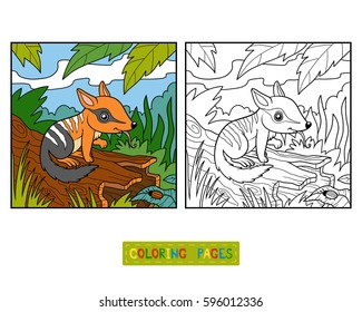 Coloring book for children, Numbat and background