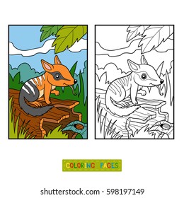 Coloring book for children, Numbat with background