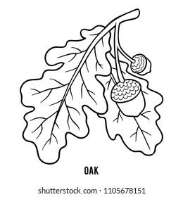 Coloring book for children, Oak