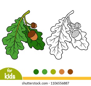 Coloring book for children, Oak branch