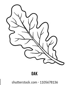 Coloring book for children, Oak leaf