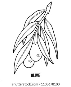 Coloring book for children, Olive tree