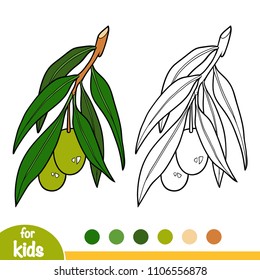 Coloring book for children, Olive tree branch