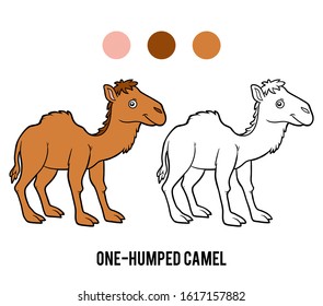 Coloring book for children, One-humped camel