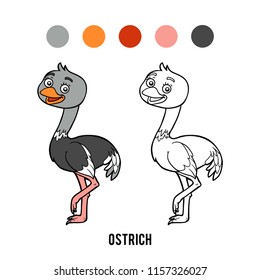 Coloring book for children, Ostrich