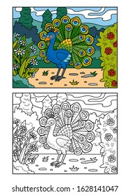 Coloring book for children, Peacock in the royal park