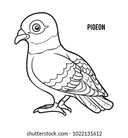 20+ Latest Pigeon Drawing With Colour For Kids | The Campbells
